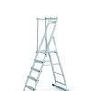 ZAP Neo S aluminium platform ladder with folding handrails